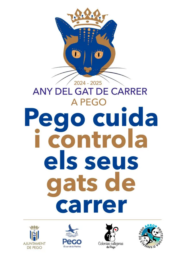 Pego declara el «Año del gato de la calle» para concienciar a los vecinos sobre su amparo por la Ley de Bienestar Animal 2 Imagen: 'Año del gato callejero' 2024-2025 en Pego