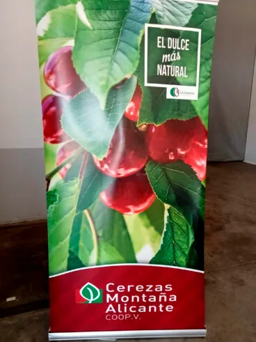 Affiche de la Coopérative des Cerises de Montagne d'Alicante