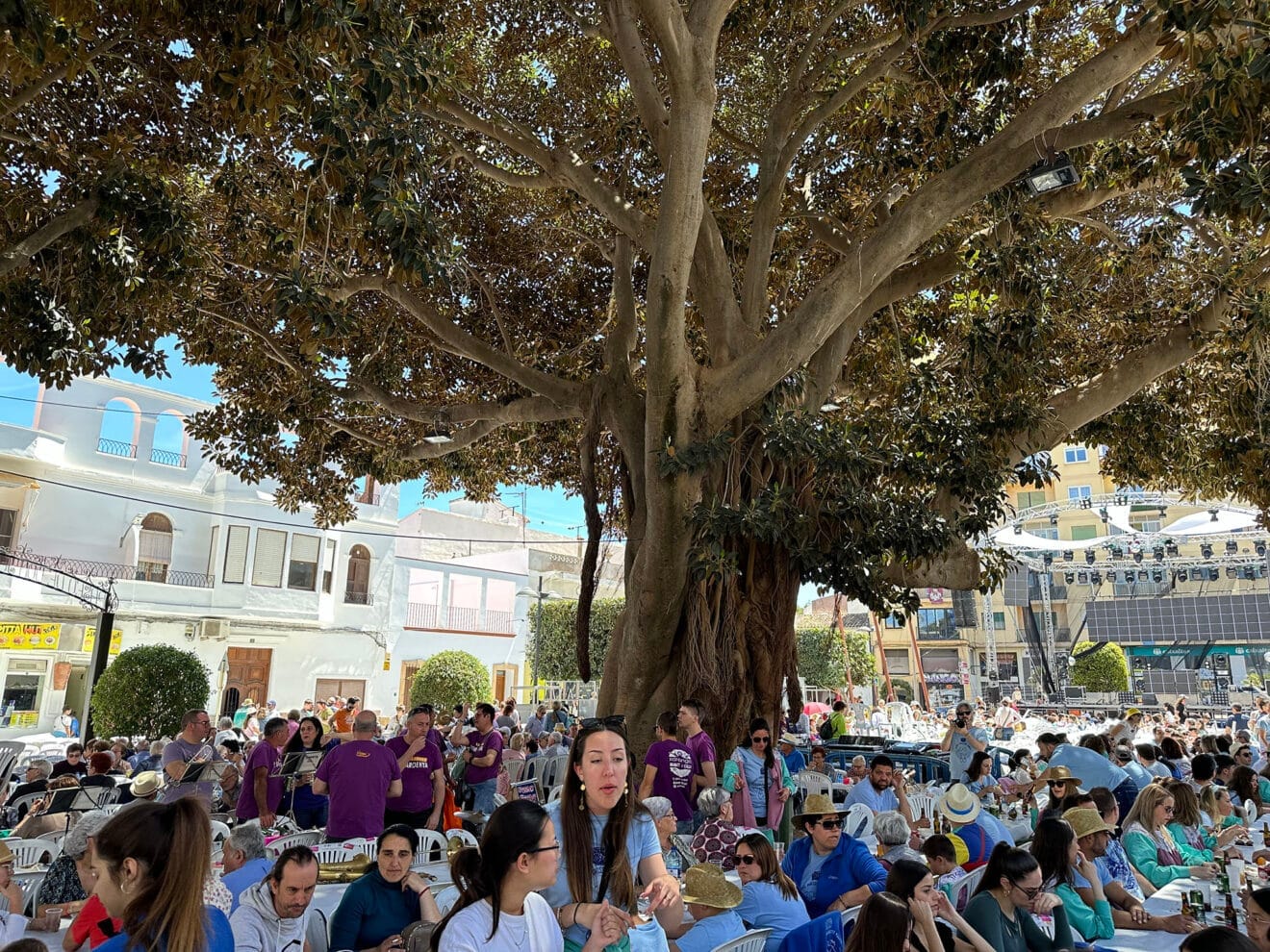 Dia de les Anyades de Benissa 2024 18