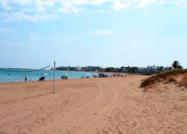 Dunas de la playa dels Molins de Dénia