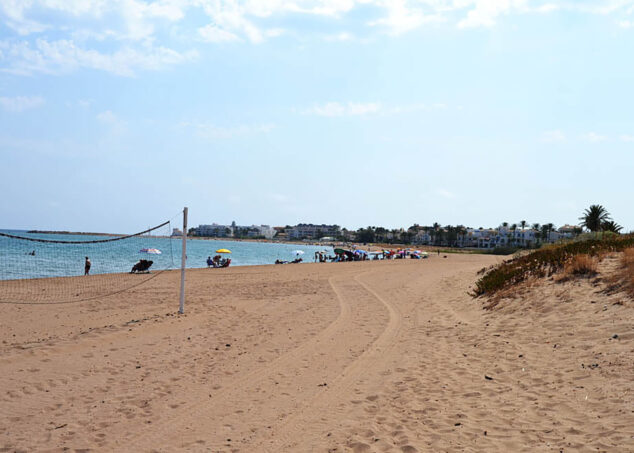 Imagen: Dunas de la playa dels Molins de Dénia