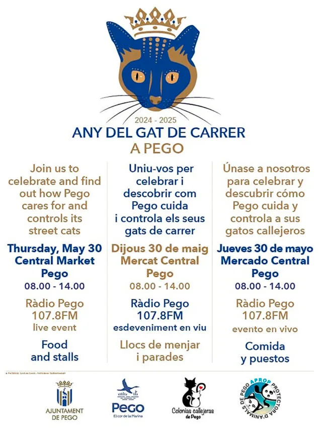 Pego declara el «Año del gato de la calle» para concienciar a los vecinos sobre su amparo por la Ley de Bienestar Animal 3 Imagen: Jornada del «Año del gato callejero» 2024-2025 en el mercado municipal de Pego