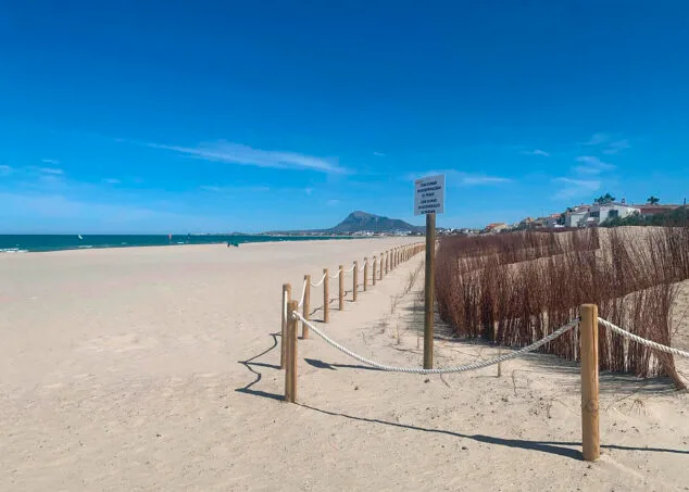 Bandera Azul: ¿por qué es importante y cuántas playas de la Marina Alta la tienen? 28 Imagen: Playa Les Deveses de Dénia después de la regeneración