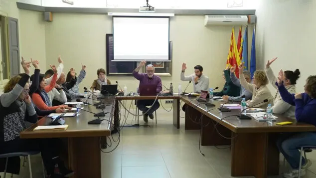 Imagen: Pleno de Pedreguer
