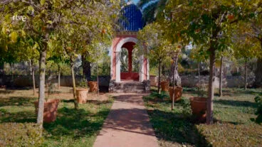 jardin de lalbarda de pedreguer en rtve