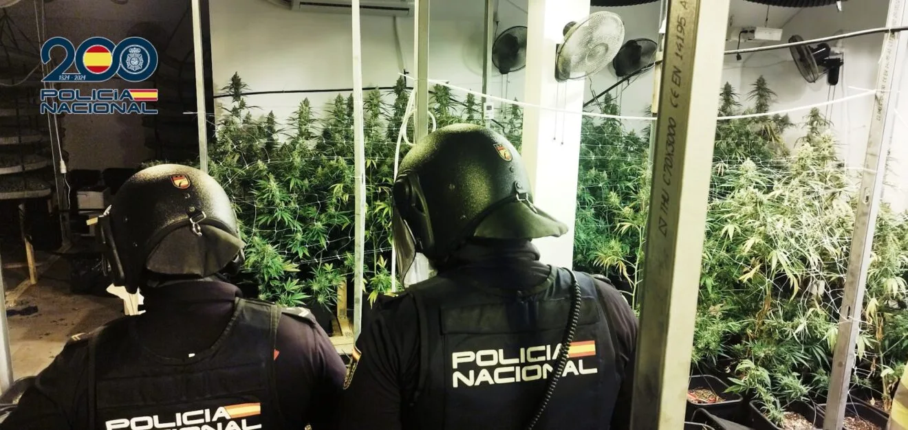 La Policía Nacional desarticula una organización criminal de Europa del Este dedicada al cultivo de marihuana en Albacete