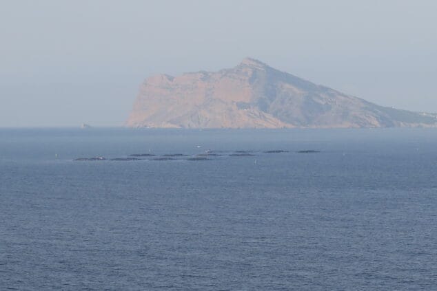 Imagen: Piscifactoría de Calp