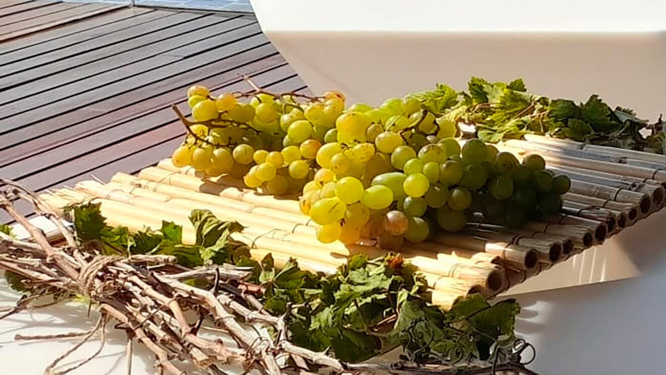 Uva Moscatel de Teulada Moraira