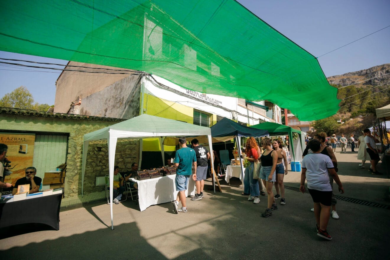 XXI Festa de la Cirera de la Vall de Gallinera 2024 03