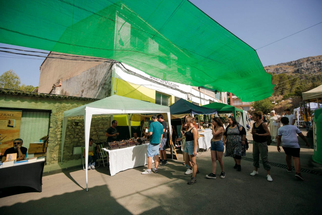 XXI Festa de la Cirera de la Vall de Gallinera 2024 04