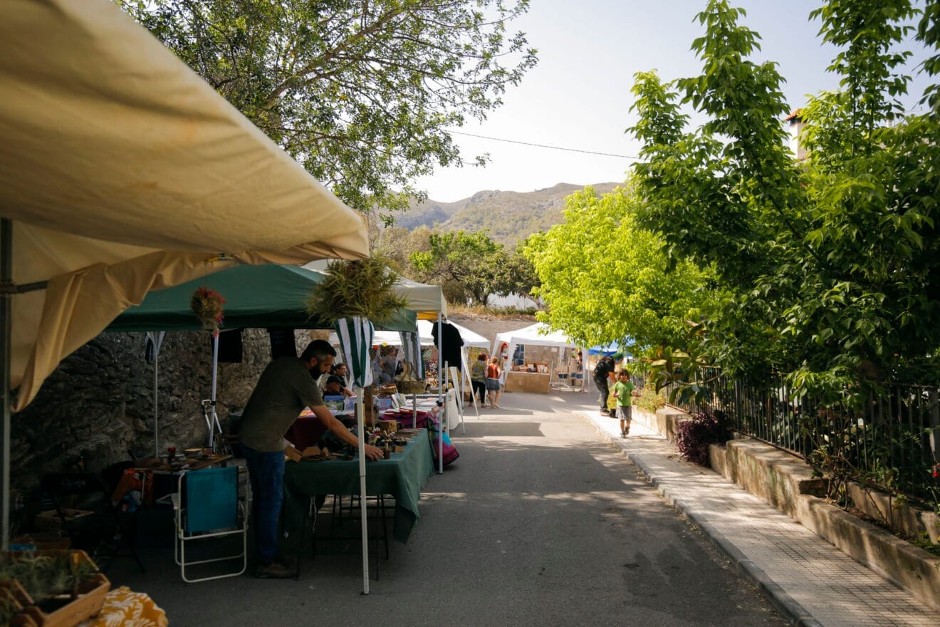 XXI Festa de la Cirera de la Vall de Gallinera 2024 08
