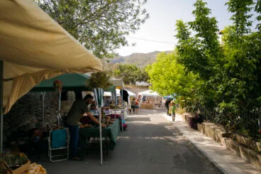 XXI Festa de la Cirera de la Vall de Gallinera 2024 08