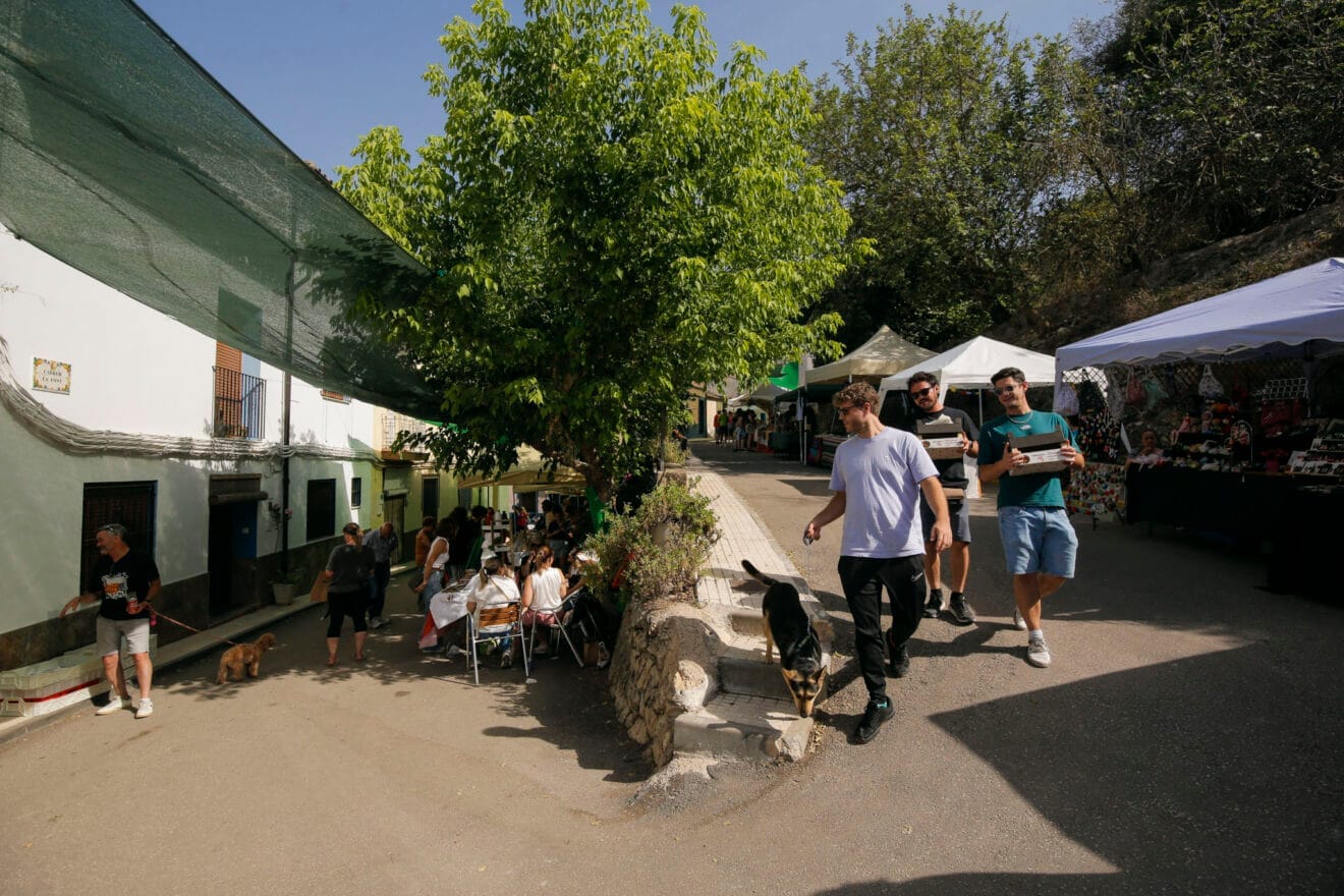 XXI Festa de la Cirera de la Vall de Gallinera 2024 10