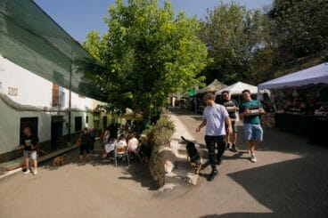 XXI Festa de la Cirera de la Vall de Gallinera 2024 10