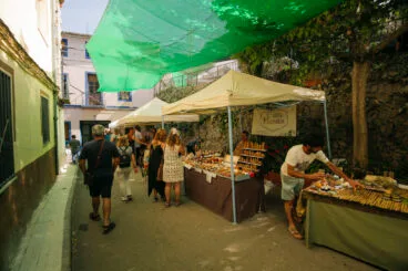 XXI Festa de la Cirera de la Vall de Gallinera 2024 13