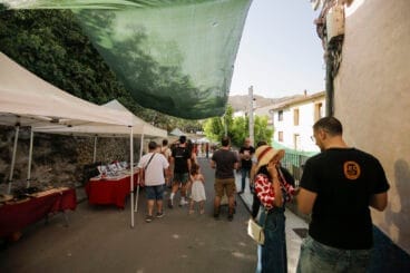 XXI Festa de la Cirera de la Vall de Gallinera 2024 41
