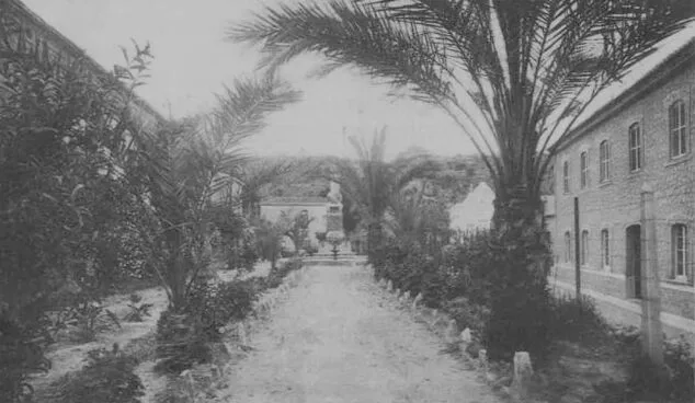 zona ajardinada de fontilles a principios del siglo xx imagen del libro fontilles el modelo valenciano de colonia sanitaria