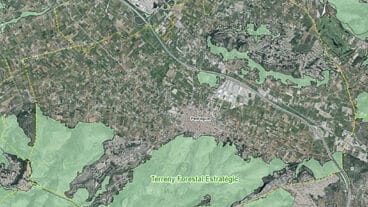 area forestale volontaria dest