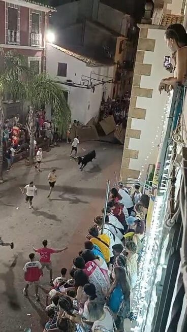 Acto taurino en las fiestas de Sant Jaume