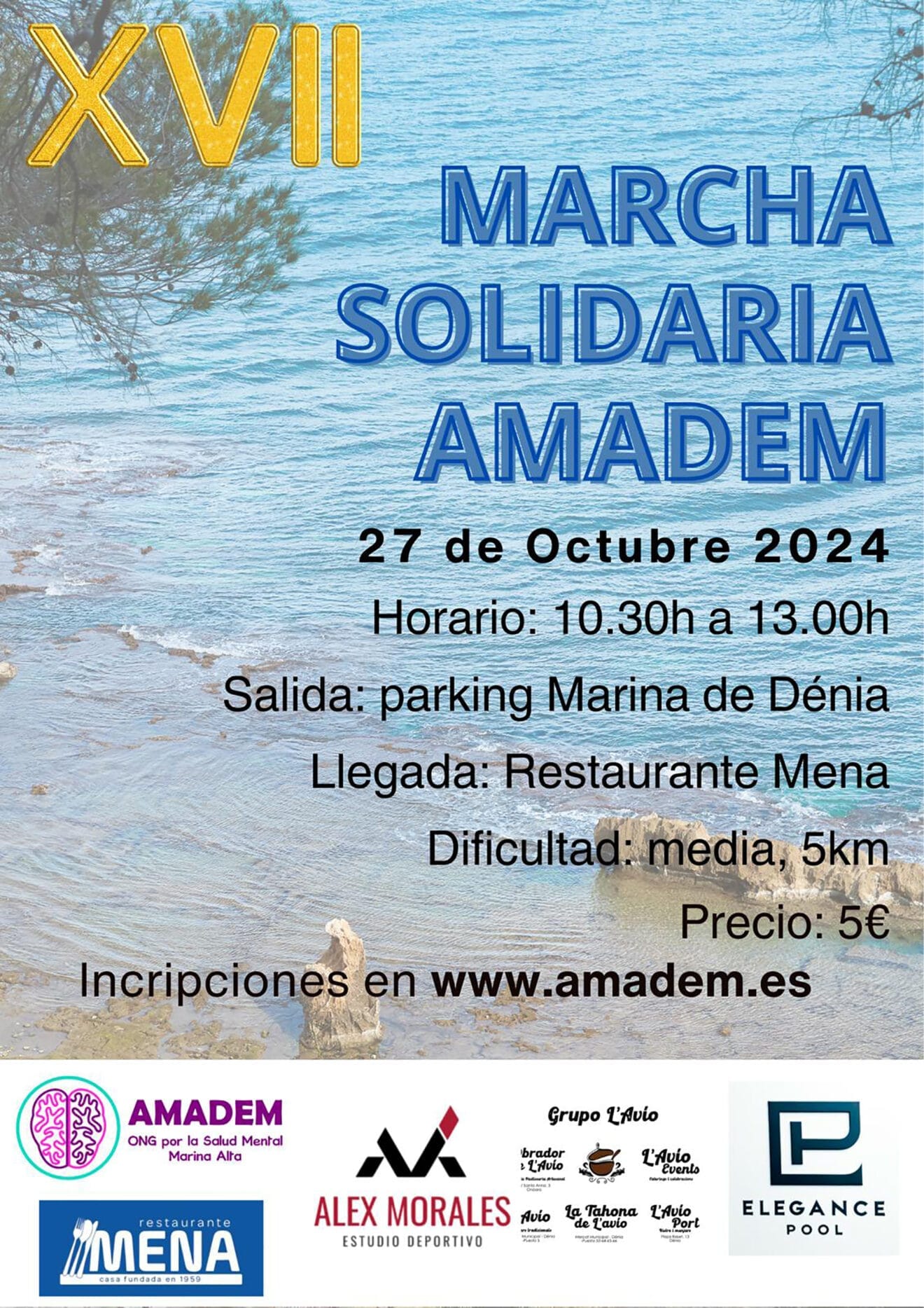 Cartel de la XVII Marcha solidaria de Amadem