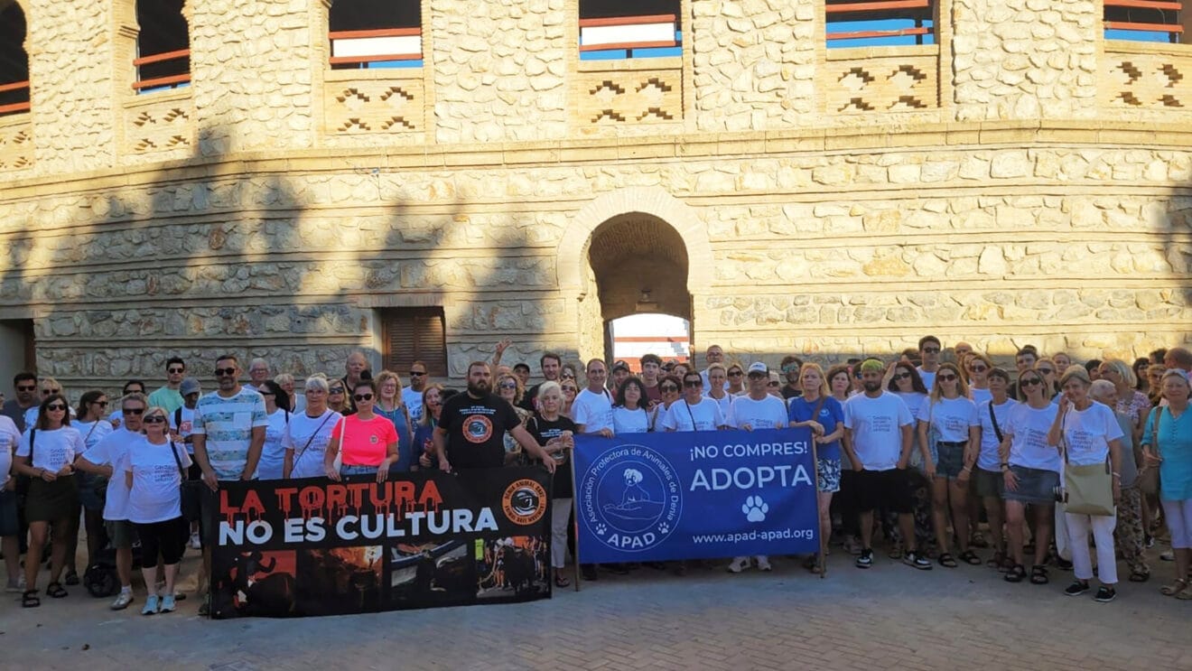 Concentración antitaurina en Ondara dest