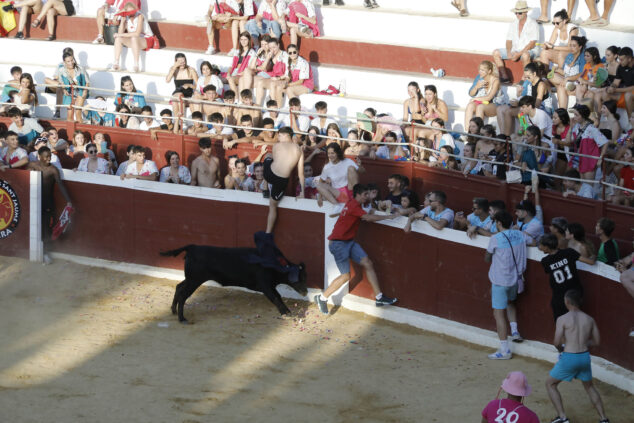 pasacalle del dia de sant jaume 2024 en ondara 121