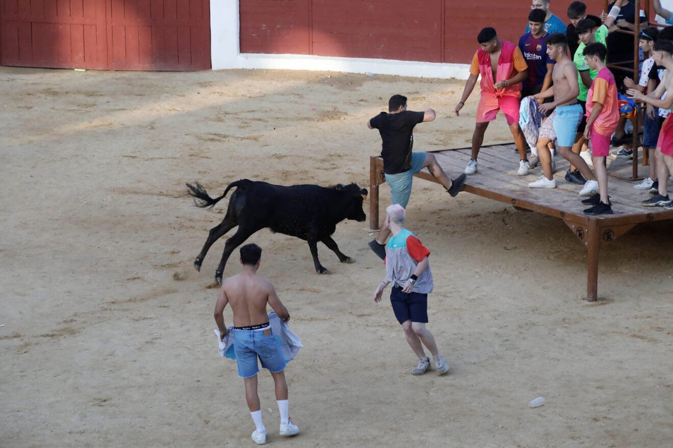 Pasacalle del día de Sant Jaume 2024 en Ondara 124