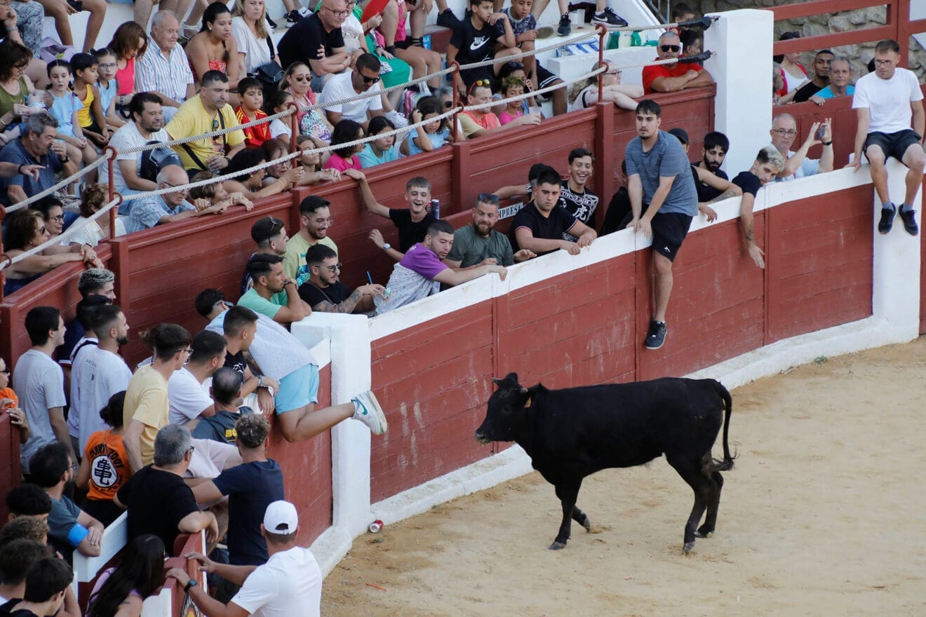 Pasacalle del día de Sant Jaume 2024 en Ondara 126