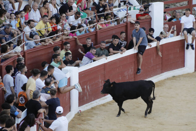 pasacalle del dia de sant jaume 2024 en ondara 126