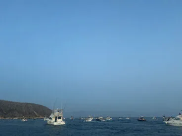 Procesión de la Virgen del Carmen en Moraira 2024 07