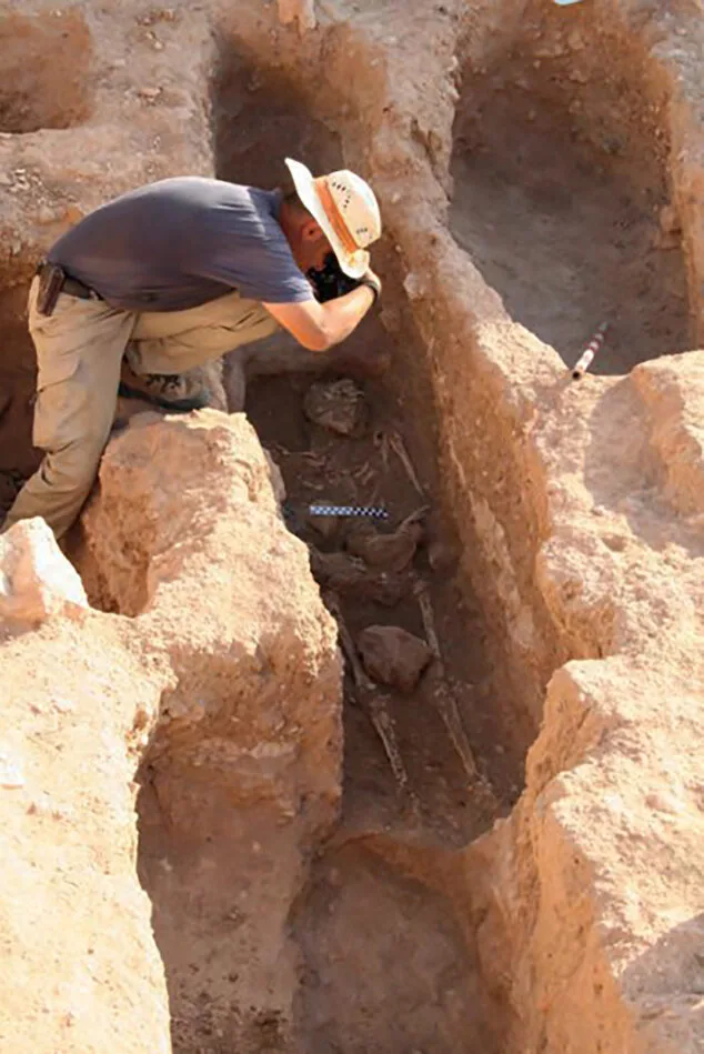 Imagen: Restos óseos de un habitante de la Pobla de Ifach