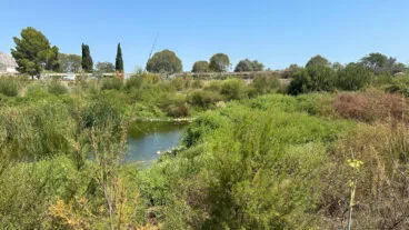 cauce del rio girona 1