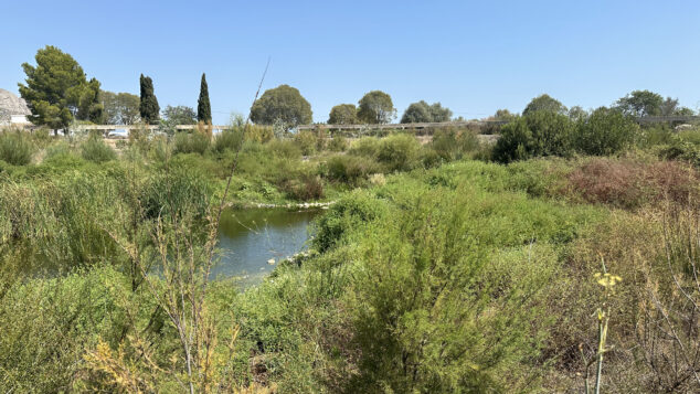 Imagen: Cauce del río Girona