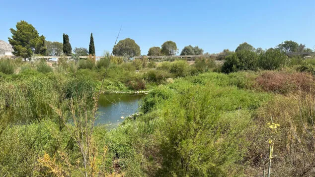 Imagen: Cauce del río Girona