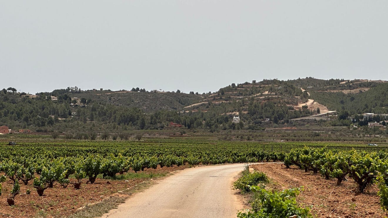 El PAI Medina desde los campos de vid de Llíber