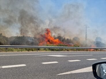 Incendio de vegetación en Ondara (1)
