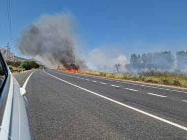 Incendio de vegetación en Ondara (2)