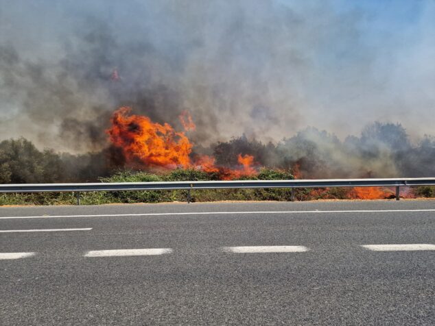 Imagen: Incendio de vegetación en Ondara