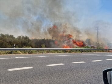 Incendio de vegetación en Ondara (6)