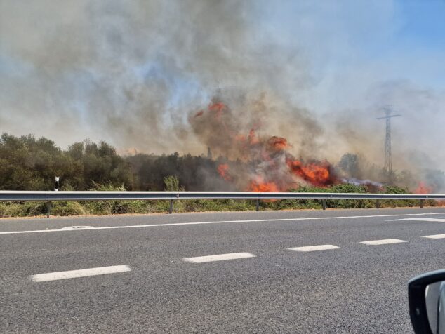 incendio de vegetacion en ondara 6