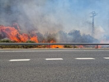Incendio de vegetación en Ondara