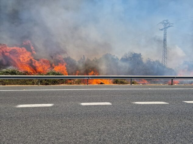 Imagen: Incendio de vegetación en Ondara