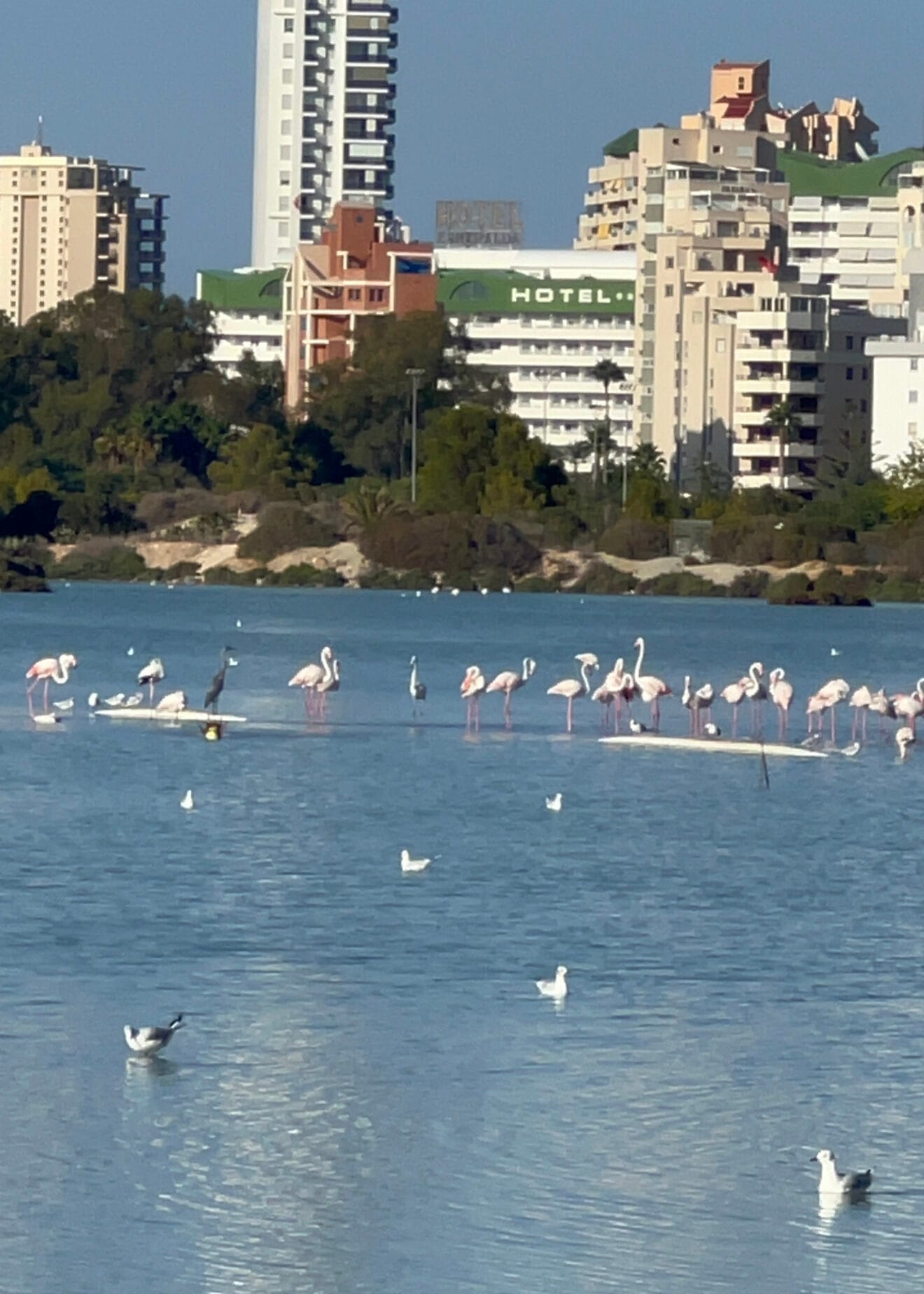 Las Salinas en el núcleo urbano de Calp