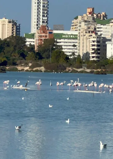 Las Salinas en el núcleo urbano de Calp