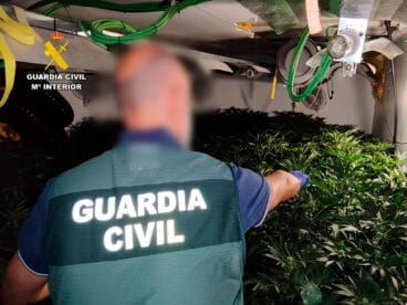 Plantación de marihuana intervenida en una urbanización de Calp