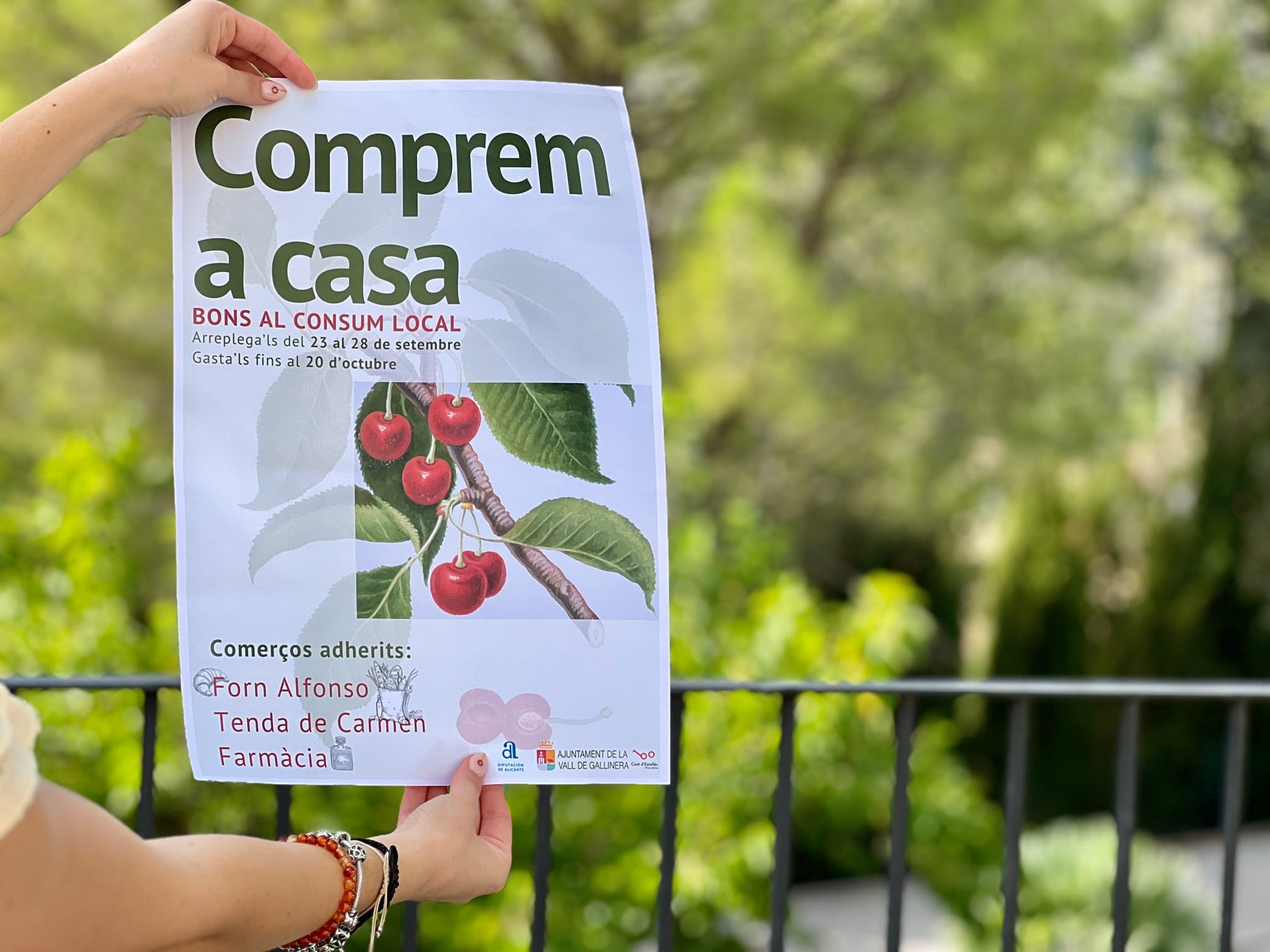 cartel bono consumo vall de gallinera