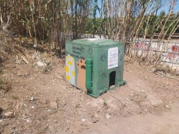 Ondara instala casitas para las colonias de gatos