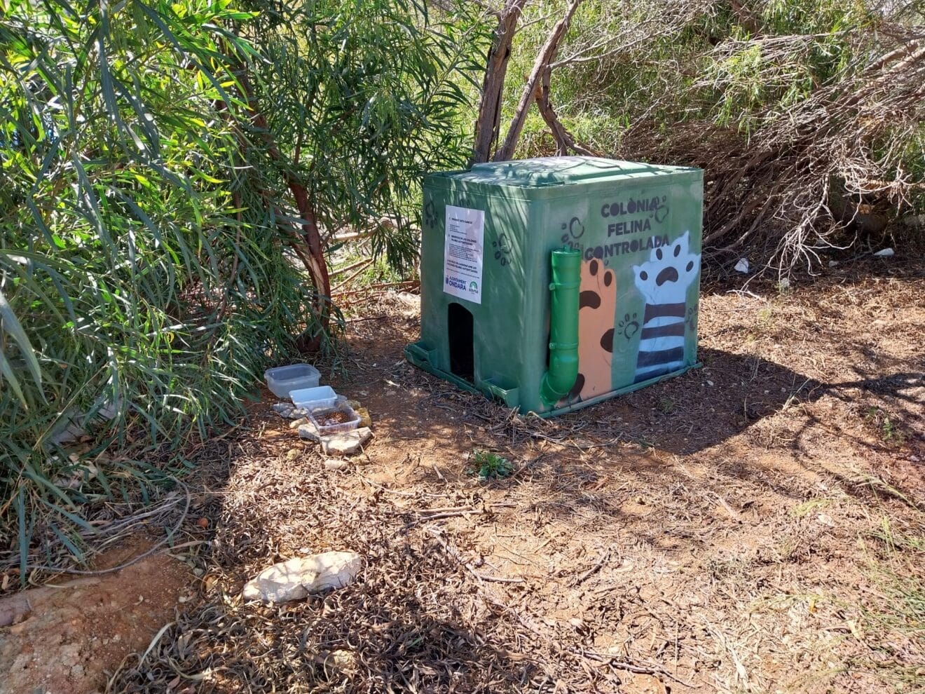 Casitas para las colonias de gatos
