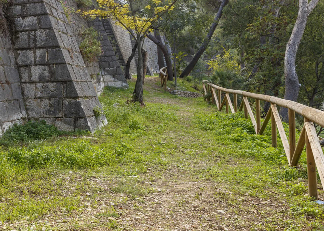 Parque Botánico del Ribás. Comunitat Valenciana. (1)