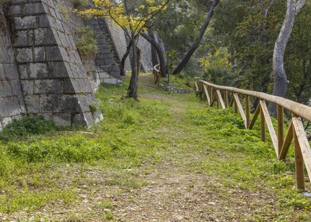 Imagen: Parque Botánico del Ribás. Comunitat Valenciana. (1)